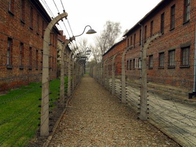 Electric_fence_at_Auschwitz_concentration_camp