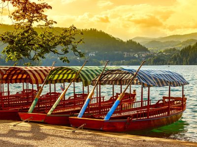 Pletna-boats-on-Lake-Bled